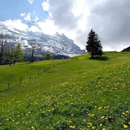 Aspen Alpine Lifestyle Hotel Grindelwald Exterior foto