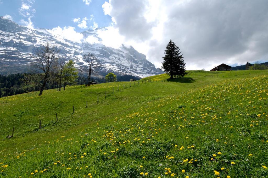 Aspen Alpine Lifestyle Hotel Grindelwald Exterior foto